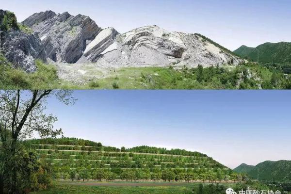 40000億元修復40萬座礦山，市場化礦山修復的探索之路